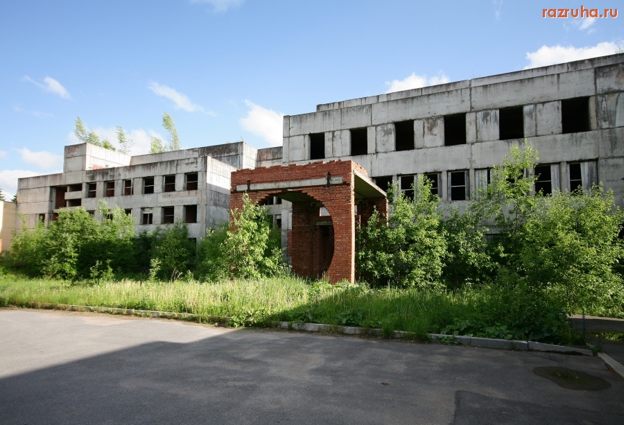 Волосово - Родилка