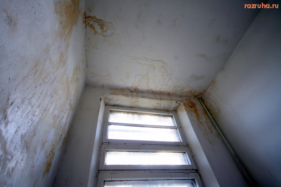 Волосово - Подъезд