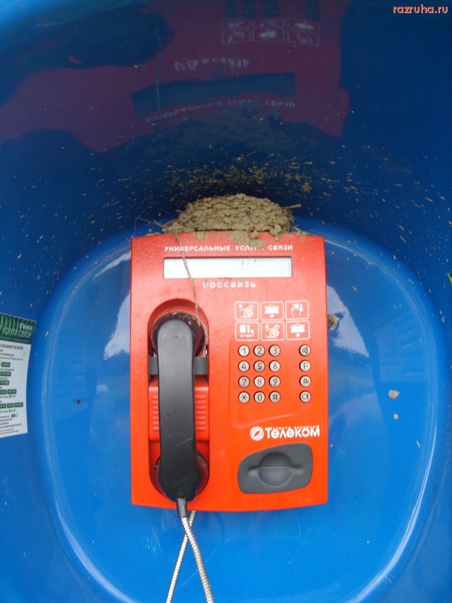 Волосово - Таксофон 2