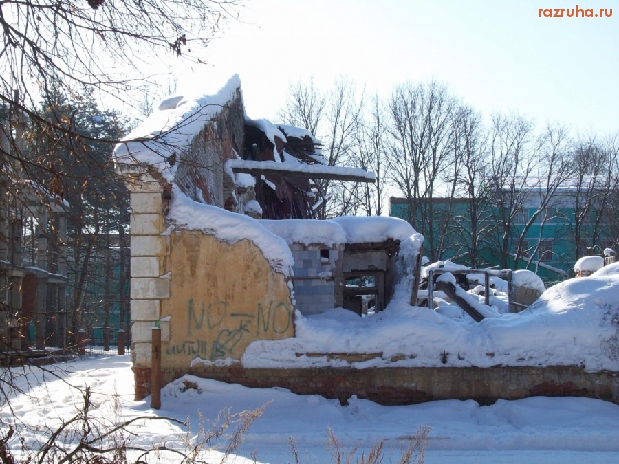 Монино - Обратная сторона парадного фасада