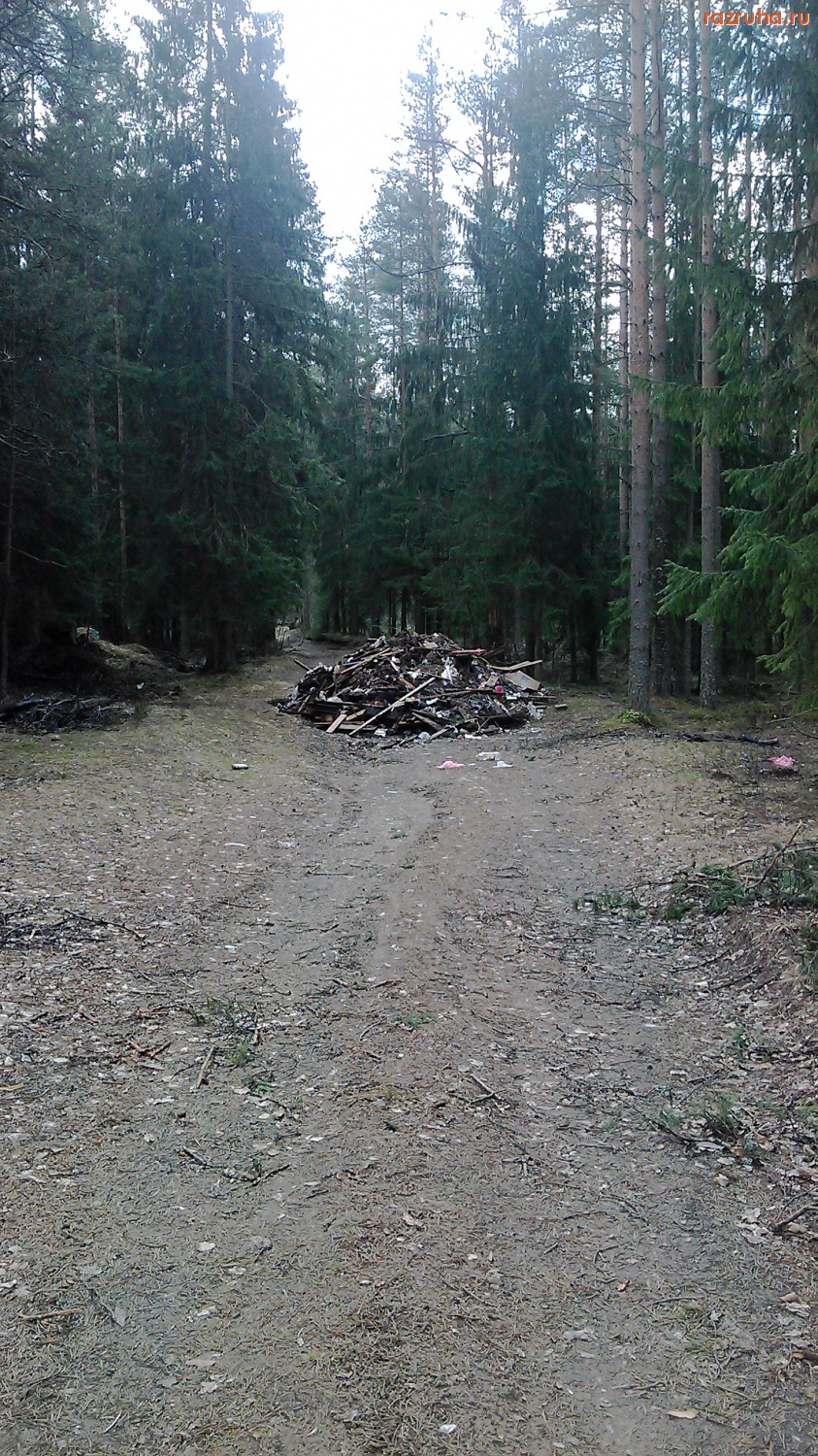 Рощино - Грязная дорога в ДОЛ им. Гагарина