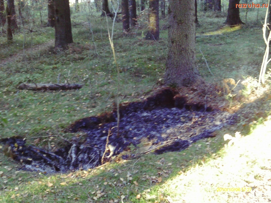 Рощино - Пожар