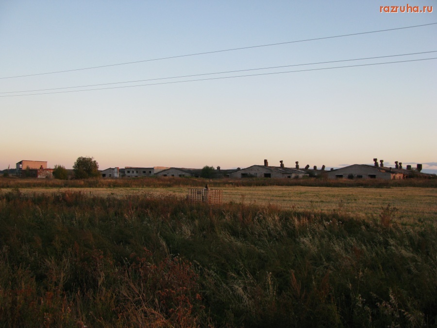 Сернур - животноводческий комплекс