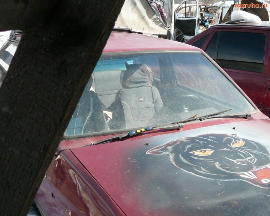 Ногинск - Автомобильная свалка в черте города Ногинск