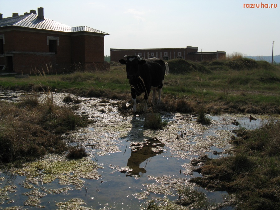 Юрино - Больница-2