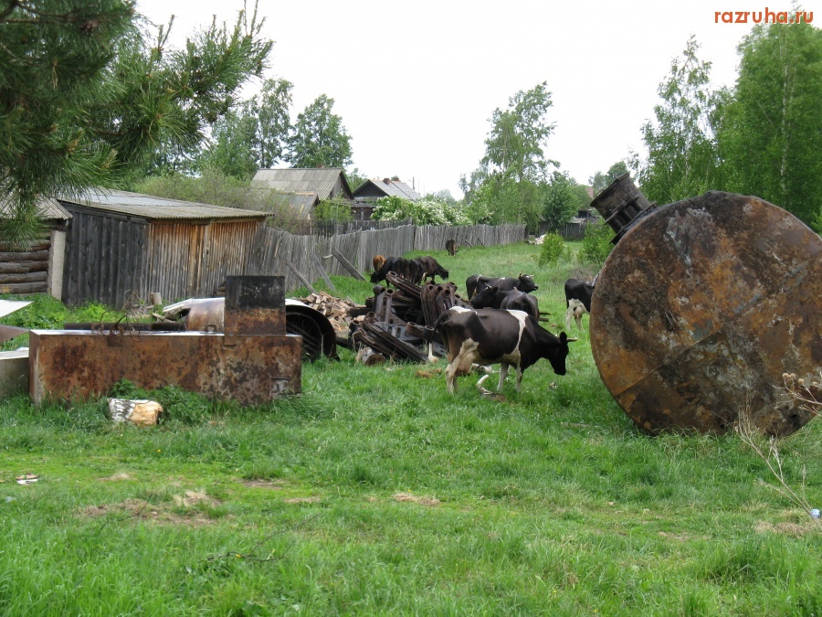 Юрино - Лом-5