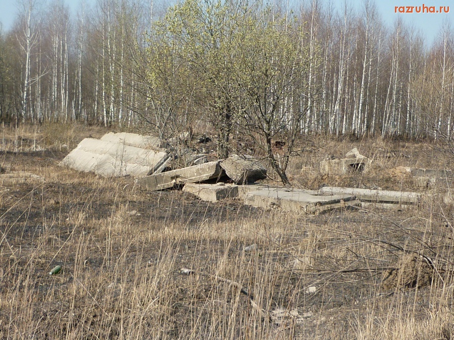 Ожерелье - Березовый лесок