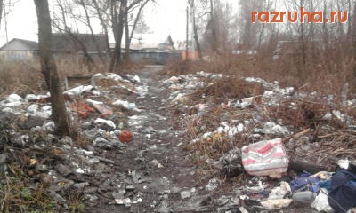 Орехово-Зуево - чистота