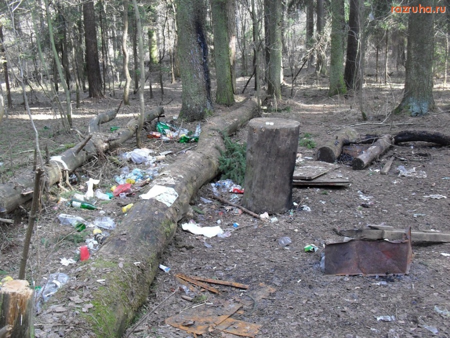 Орехово-Зуево - Последствия чьих-то посиделок в Парковском лесу