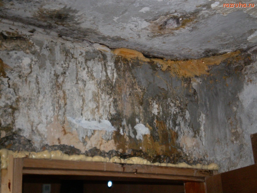 Павловский  Посад - Вход в залу