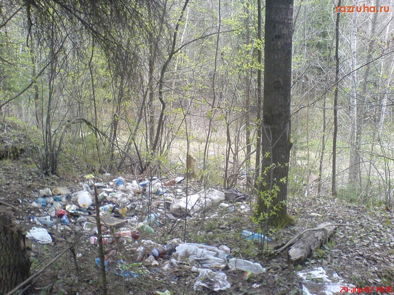 Пересвет - Лесок возле ХИММАШ (г. Пересвет)