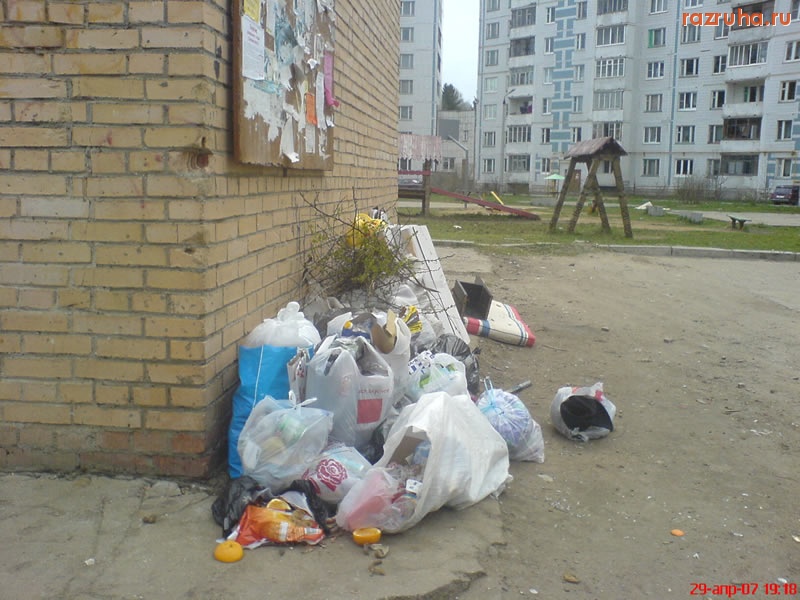 Пересвет - Отсутствие мусорных баков в городе Пересвет
