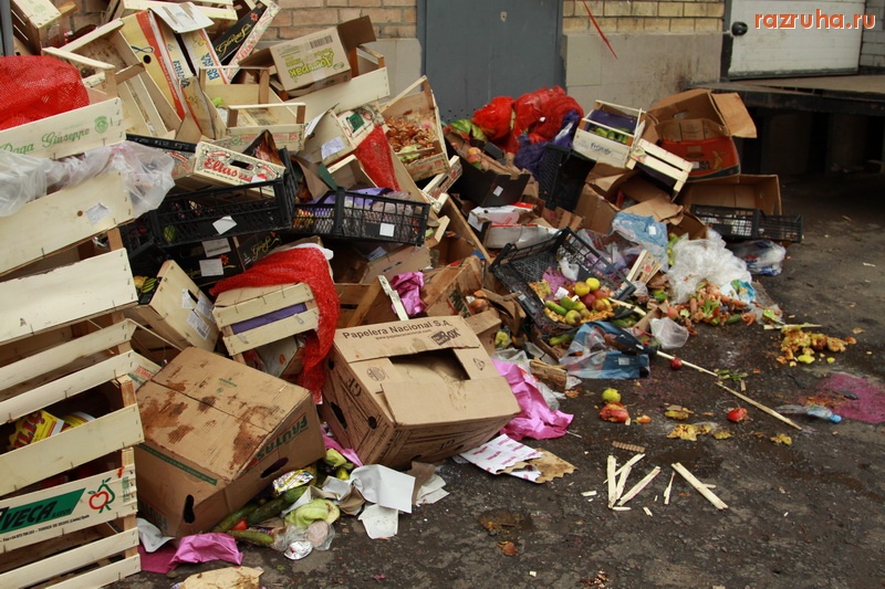 Пушкино - Помойка у магазина Пятёрочка по адресу - Пушкинское шоссе, 6