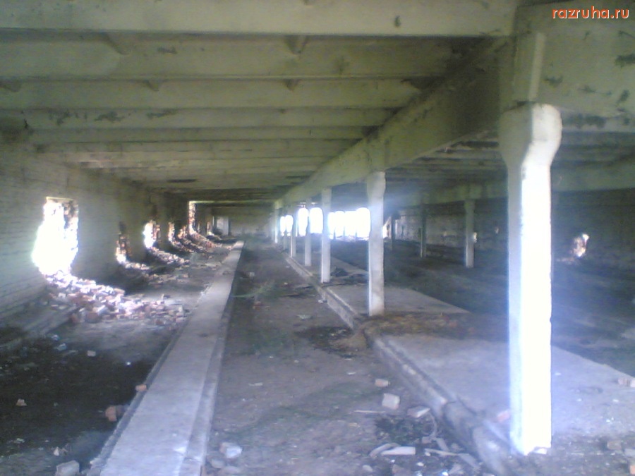 Болотное - дивинка