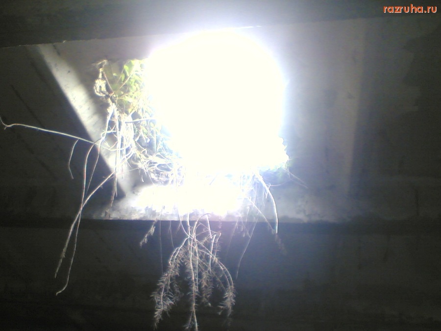 Болотное - свет в подземелье