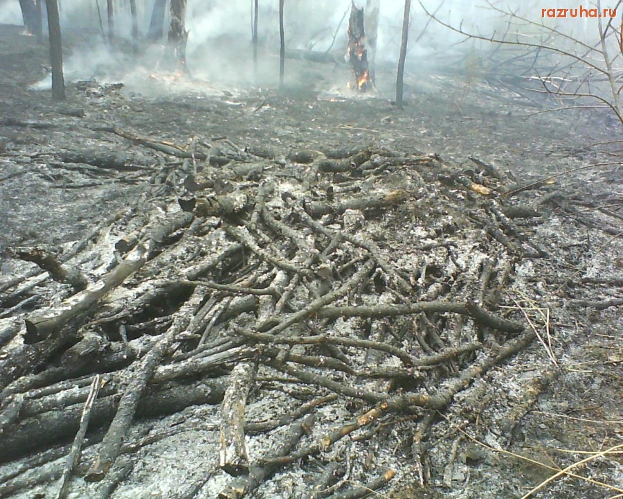 Болотное - после пожара