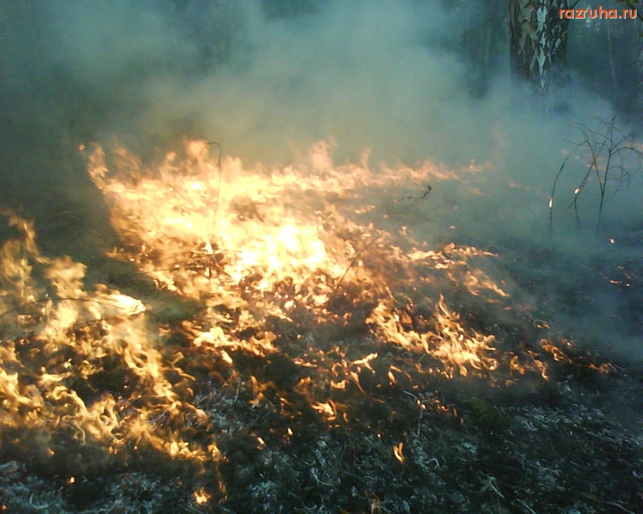 Болотное - после пожара