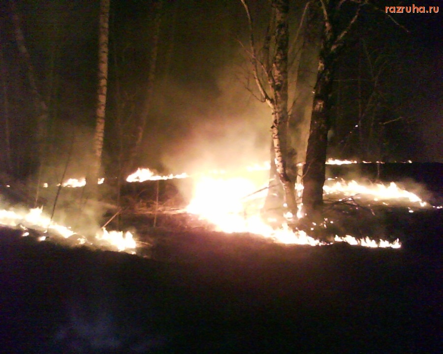 Болотное - лесной пожар