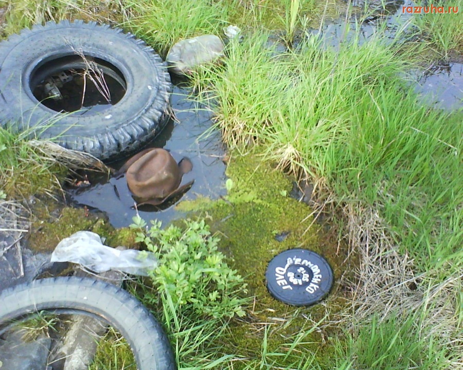 Болотное - чистые воды...