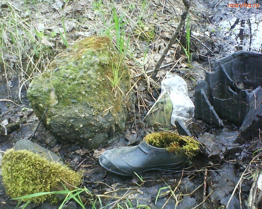 Болотное - калоша