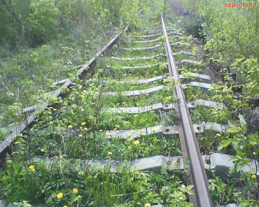 Болотное - заброшенная дорога