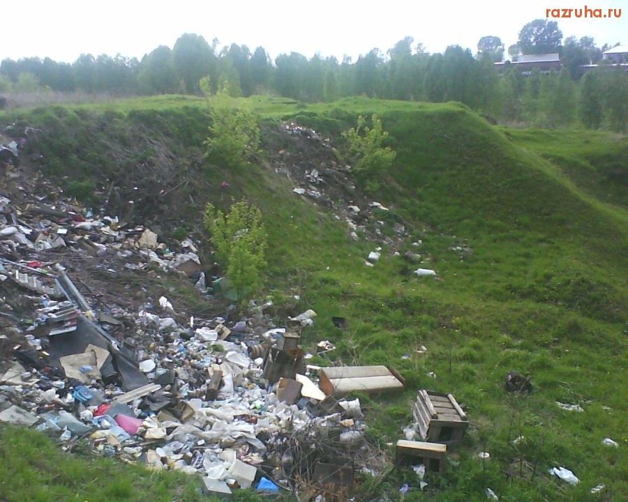 Болотное - лес наше богатство...