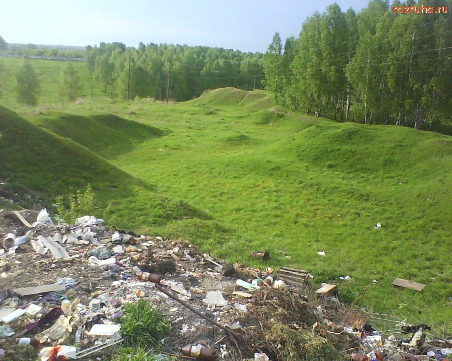 Болотное - такой лес...