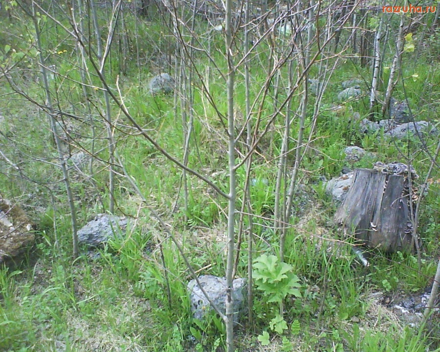 Болотное - сад бетонных камней...