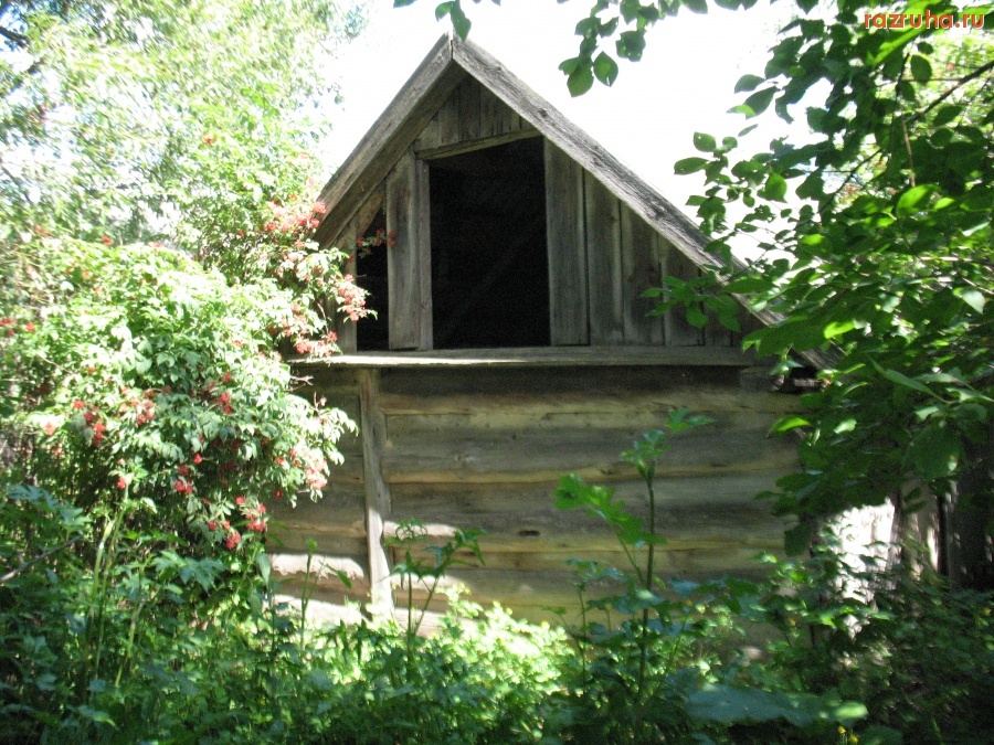 Орловская область - д.Чернодье,Орловская оласть,Троснянский район.