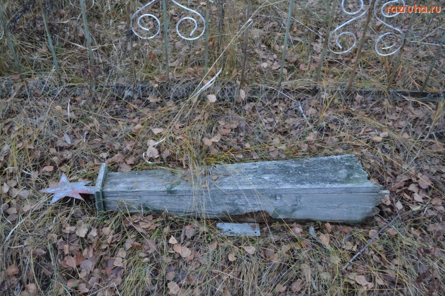 Орловская область - На деревенском кладбище.
