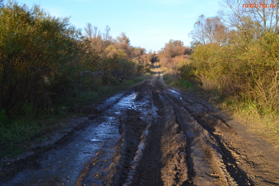 Орловская область - Дорога через деревню Жирятино