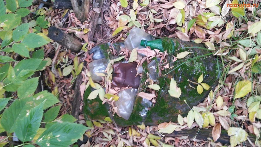 Орловская область - Шахово. Возле гаражей