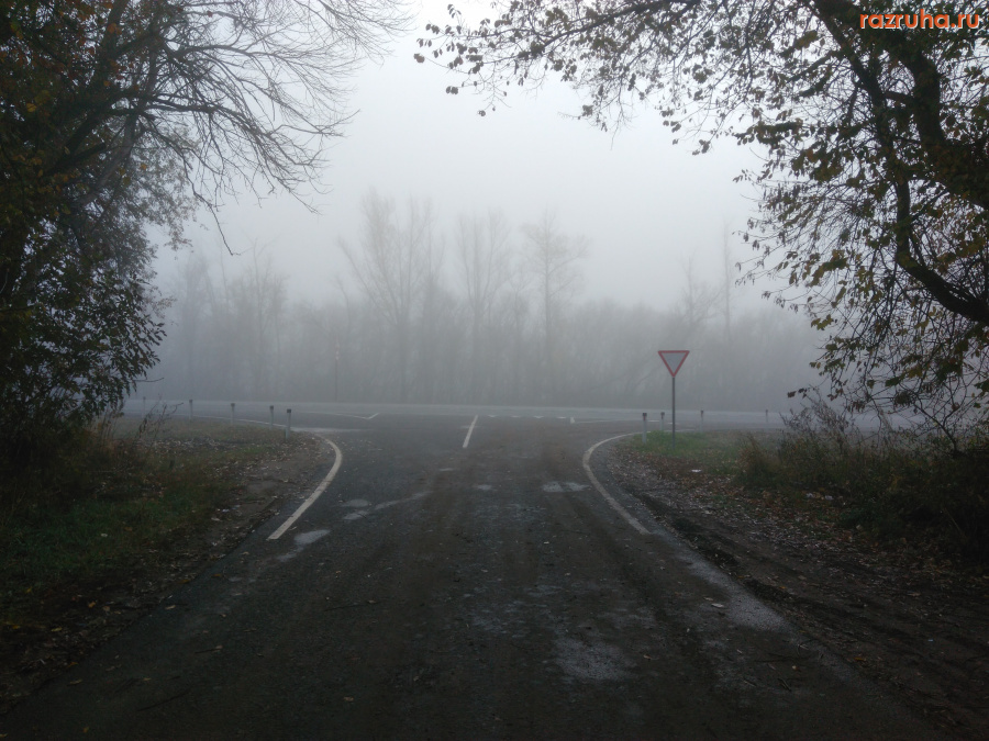 Орловская область - Осеннее утро на обочине дороги Крым-2