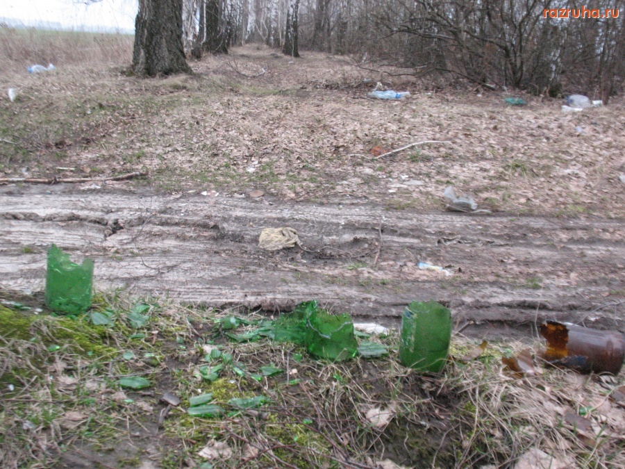 Кромы - Березовая посадка на кромской объездной дороге.