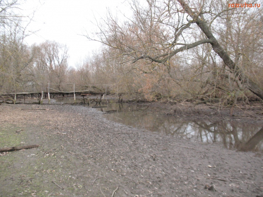 Кромы - Река Недна.Орловская область,Кромской район.