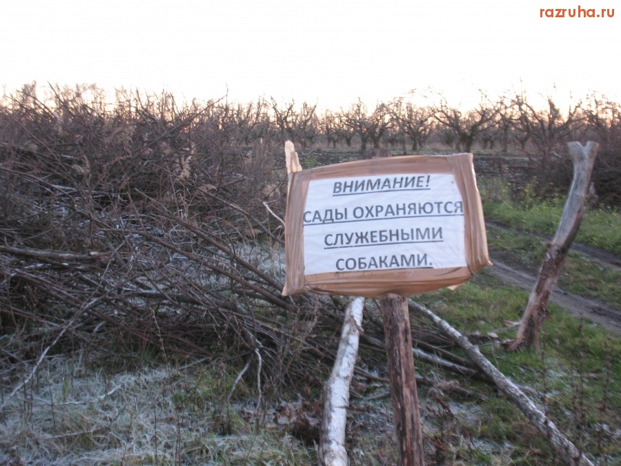 Кромы - Кромские сады.