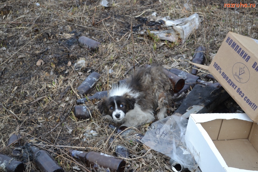 Кромы - Окрестности д.Жирятино.Кромской район.