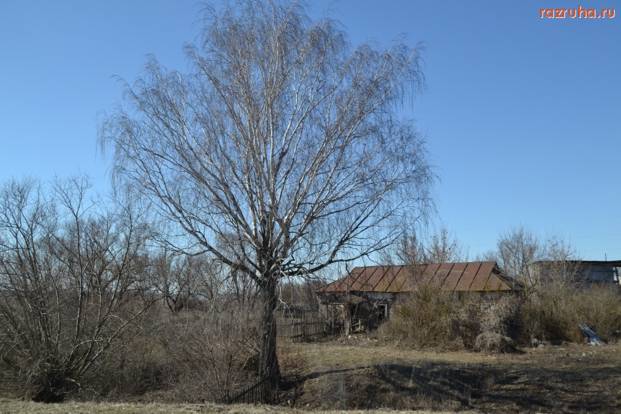 Кромы - Дом в деревне Малая Драгунская.