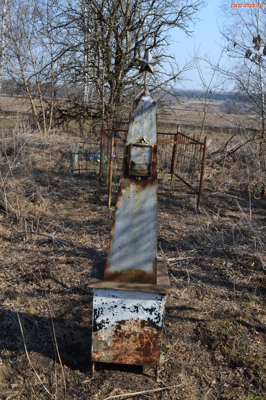 Кромы - Памятник на сельском кладбище.Село Топково Кромского района Орловской области.