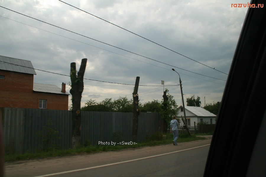 Старая  Купавна - Деревья