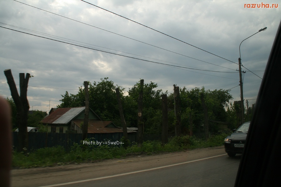 Старая  Купавна - Обрезанные деревья.