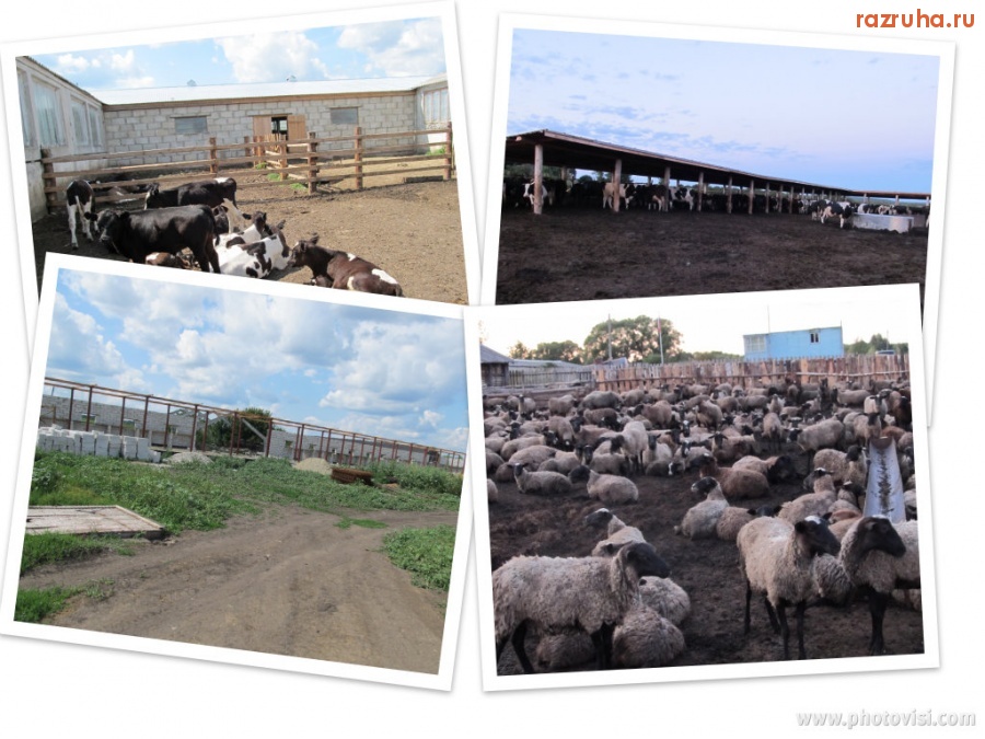 Земетчино - ООО 