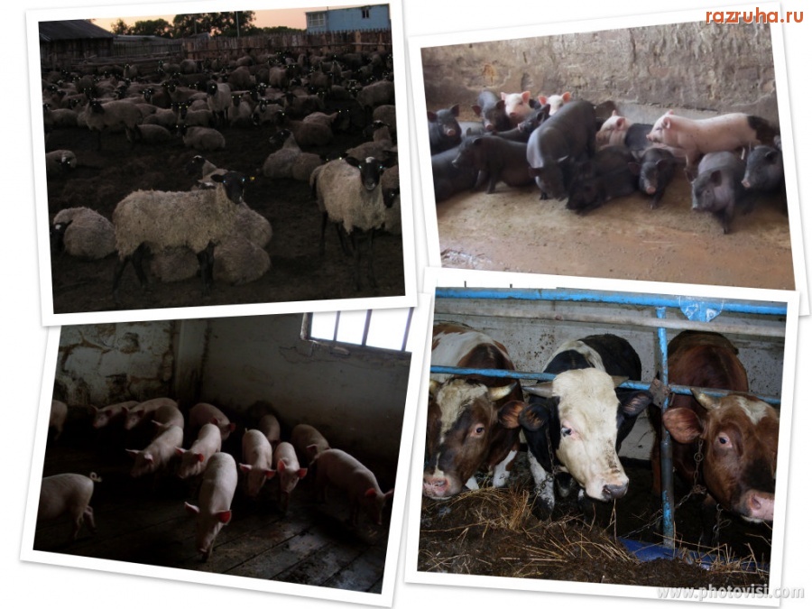 Земетчино - ООО 