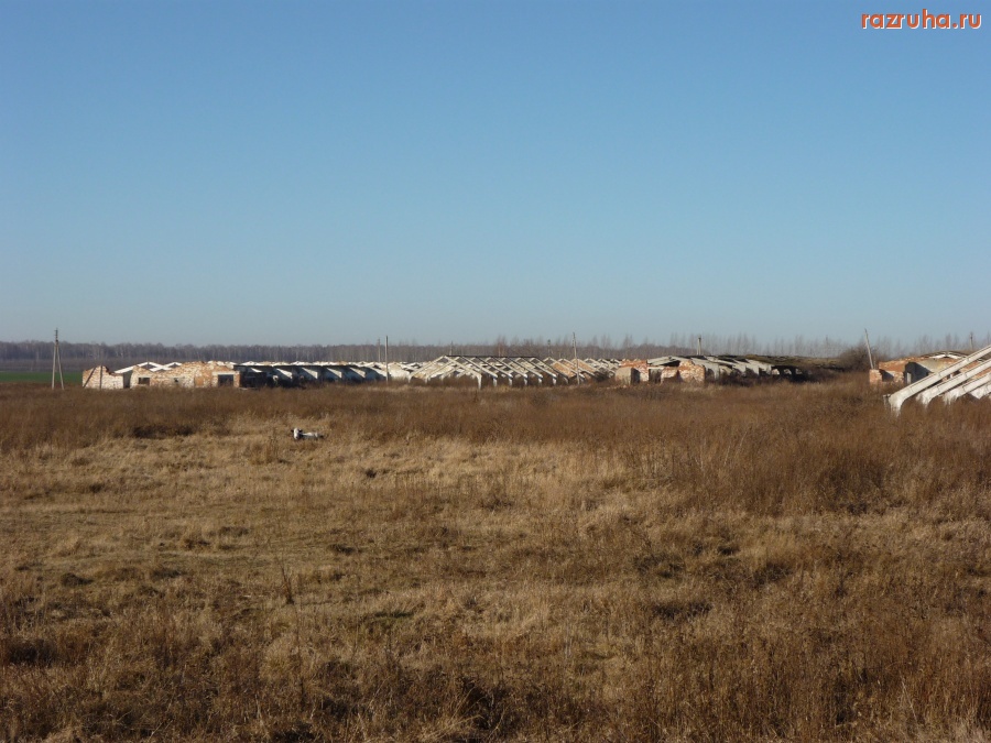 Колышлей - ферма в пограничном