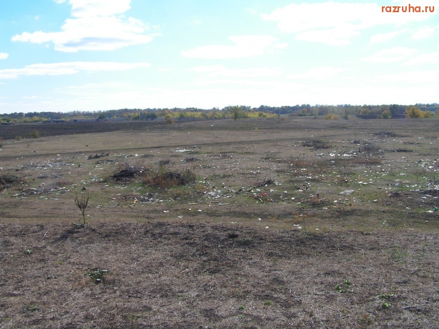 Тамала - природа в 300 м от Тамалы