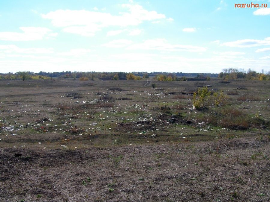 Тамала - природа в 300 м от Тамалы