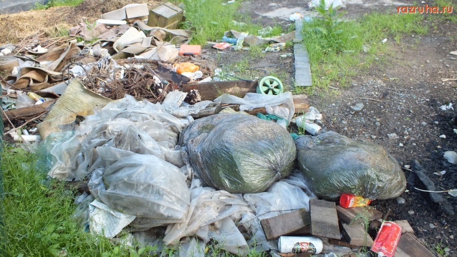 Сходня - Мусор