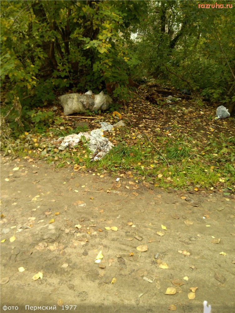 Пермь - Кировский  р-н    г.Перми