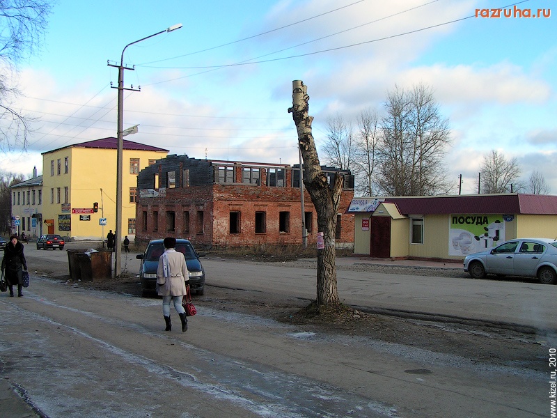 Кизел - Зачем так обрезать деревья на главной улице города!?
