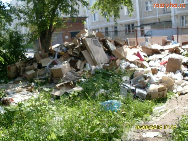 Александровск - Александровск - грязный город